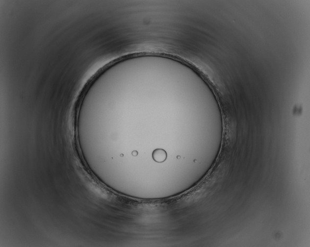 X0000101201078200807181529