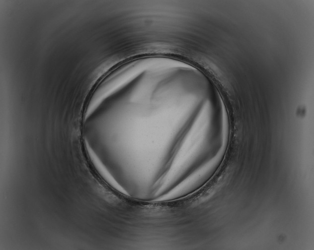 X0000101201081200807181529