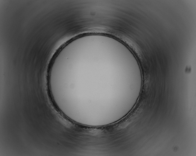 X0000101201085200807181529