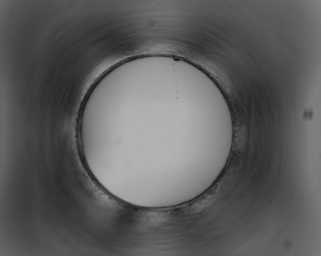 X0000101201086200807181529