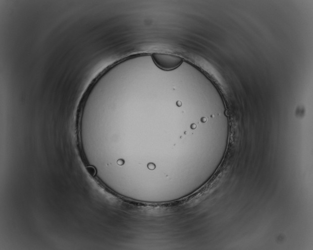 X0000101201087200807181529