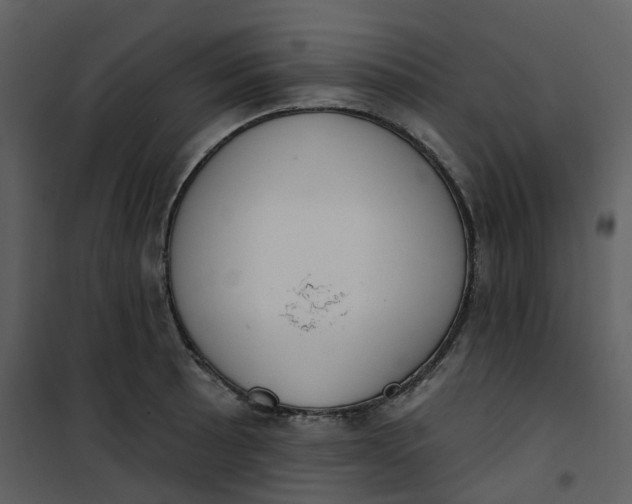 X0000101201089200807181529