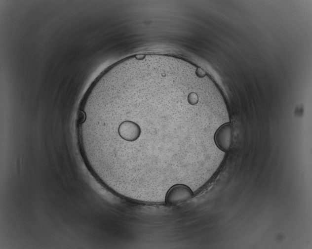 X0000101201091200807181529