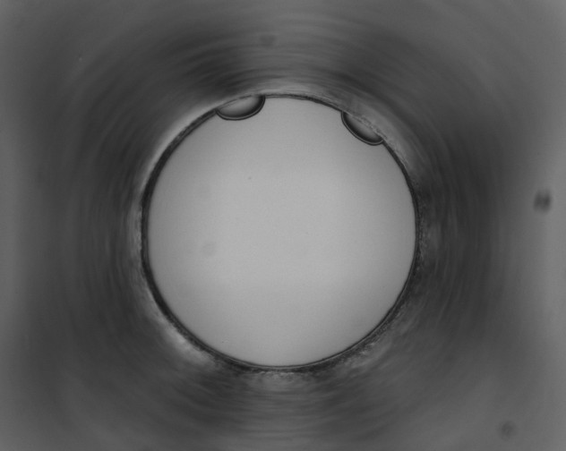 X0000101201092200807181529