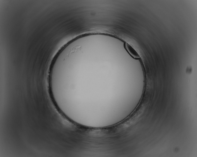 X0000101201093200807181529