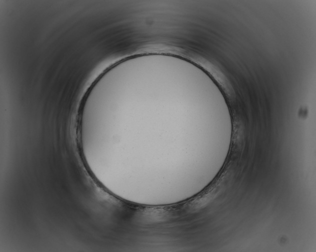 X0000101201094200807181529