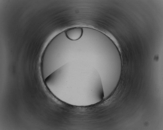 X0000101201096200807181529