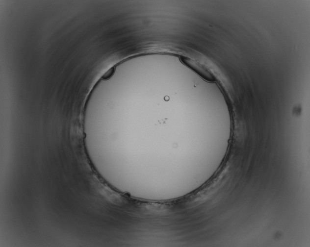 X0000101201097200807181529