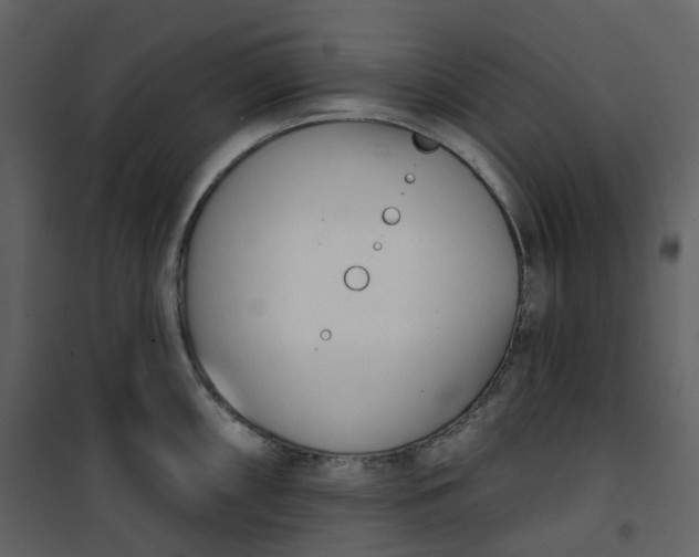 X0000101201098200807181529