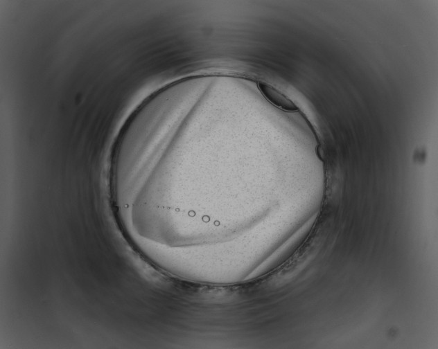 X0000101201099200807181529