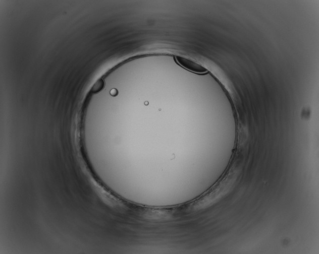 X0000101201101200807181529