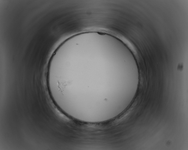 X0000101201102200807181529