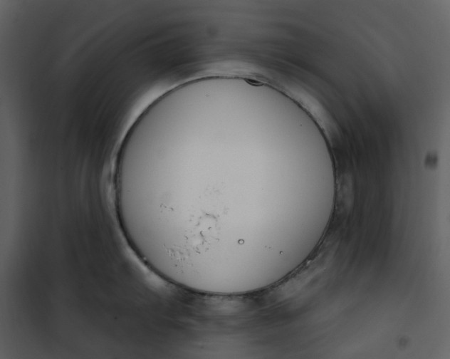 X0000101201103200807181529