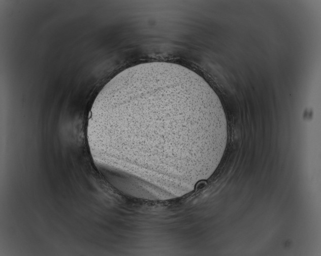 X0000101201106200807181528