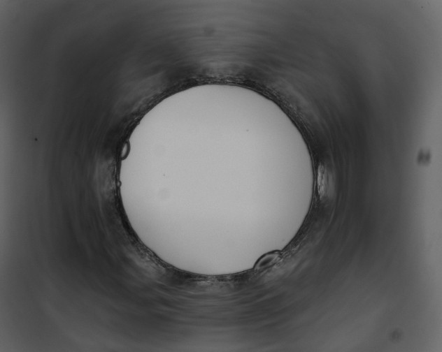 X0000101201107200807181528