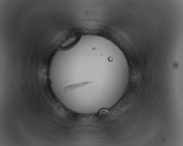 X0000101201108200807181528