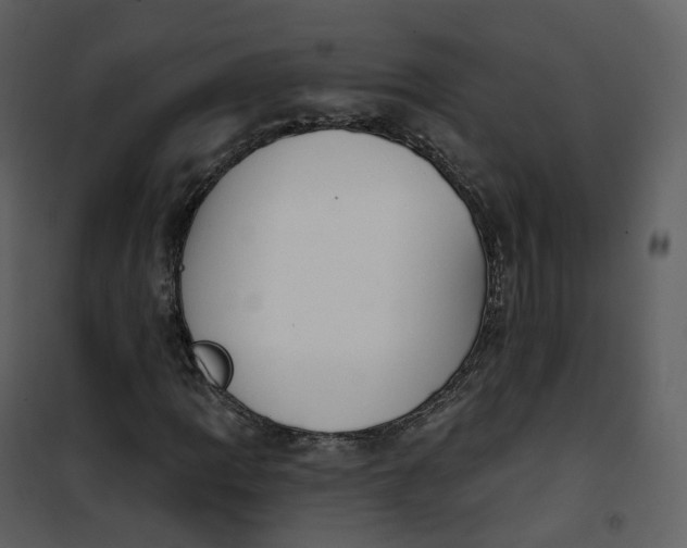 X0000101201109200807181528