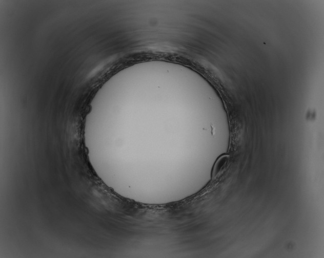 X0000101201110200807181528