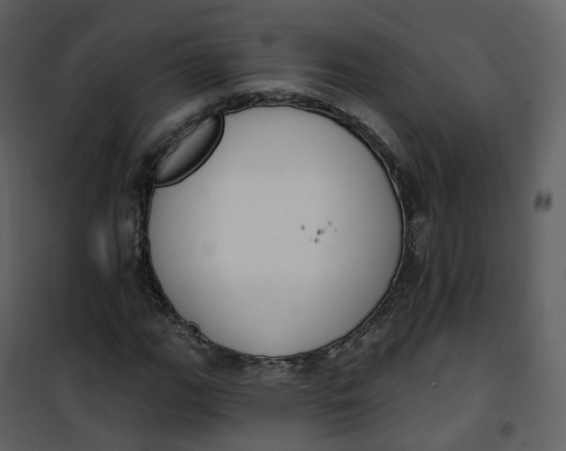 X0000101201111200807181528