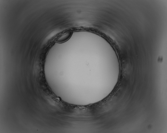 X0000101201112200807181528