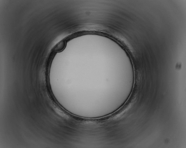 X0000101201114200807181528