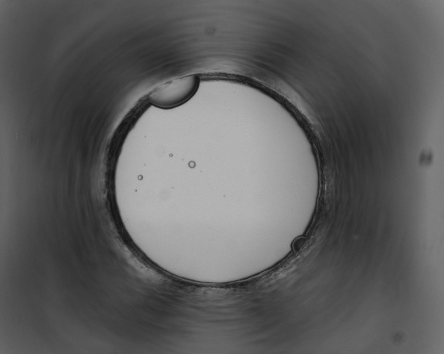 X0000101201116200807181528