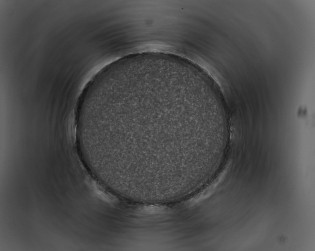 X0000101201117200807181528