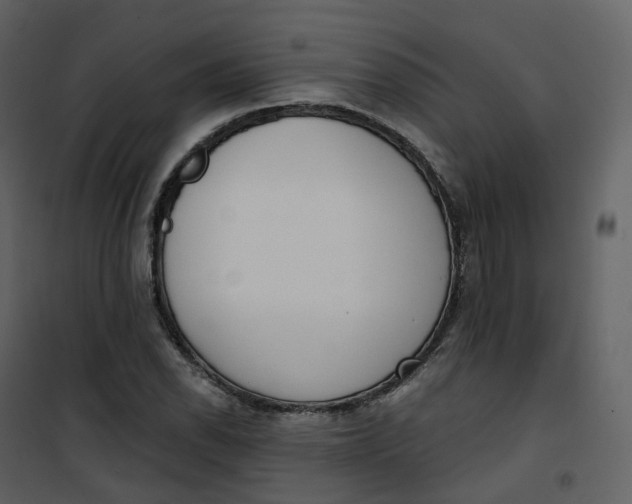 X0000101201118200807181528