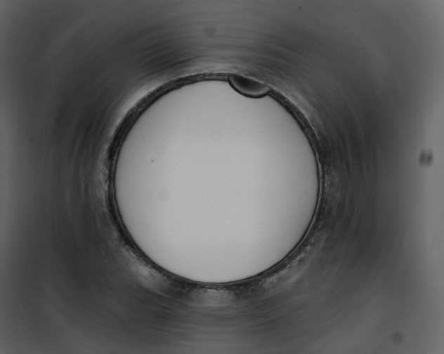 X0000101201119200807181528