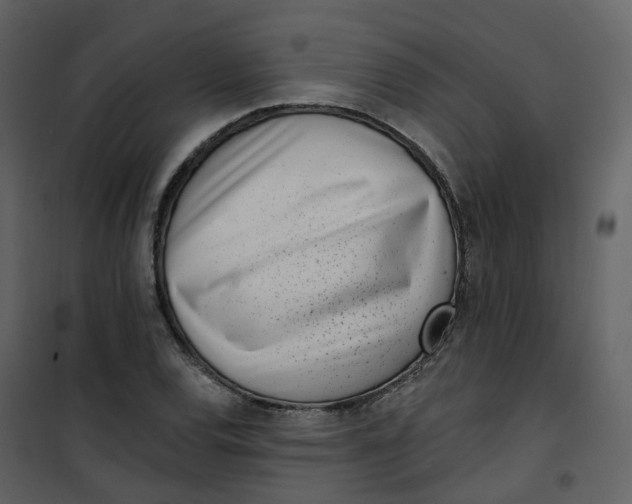 X0000101201120200807181528