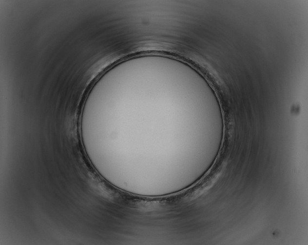 X0000101201121200807181528