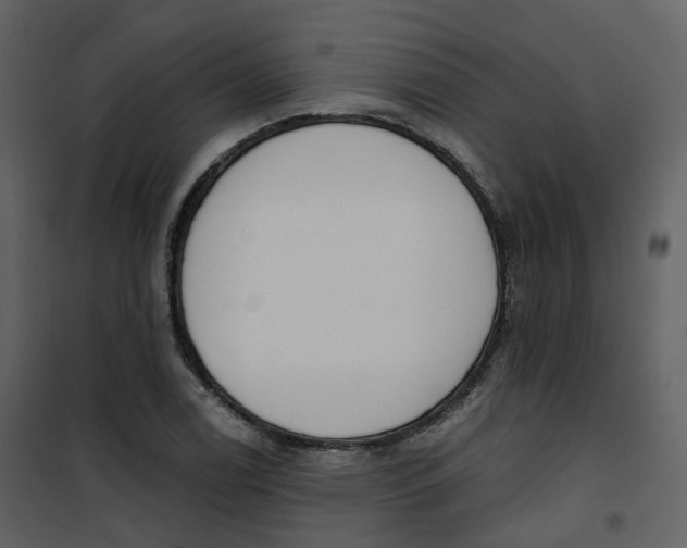 X0000101201122200807181528