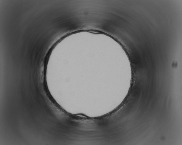 X0000101201126200807181528