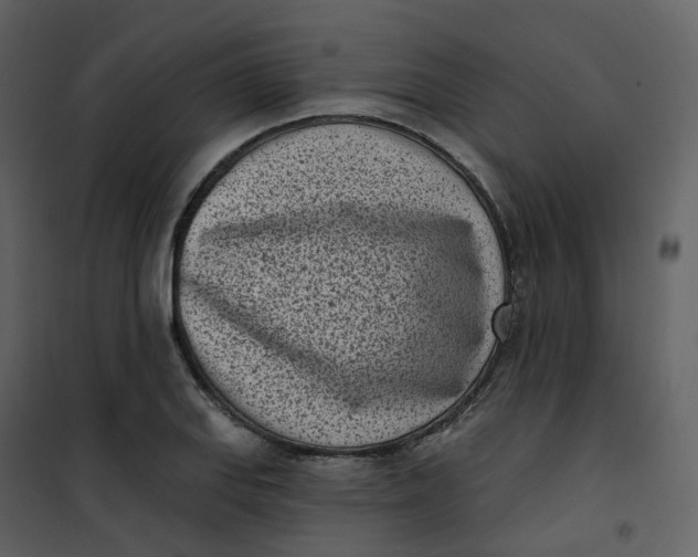 X0000101201127200807181528