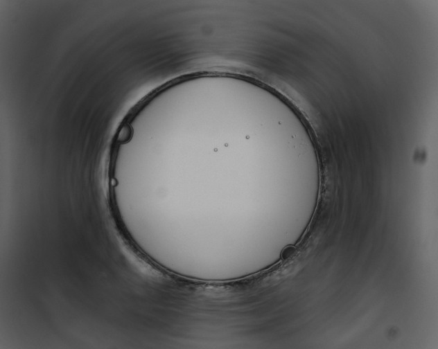 X0000101201128200807181528