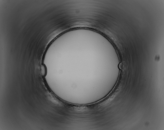 X0000101201129200807181528