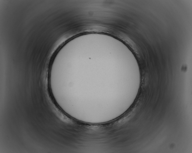 X0000101201130200807181528