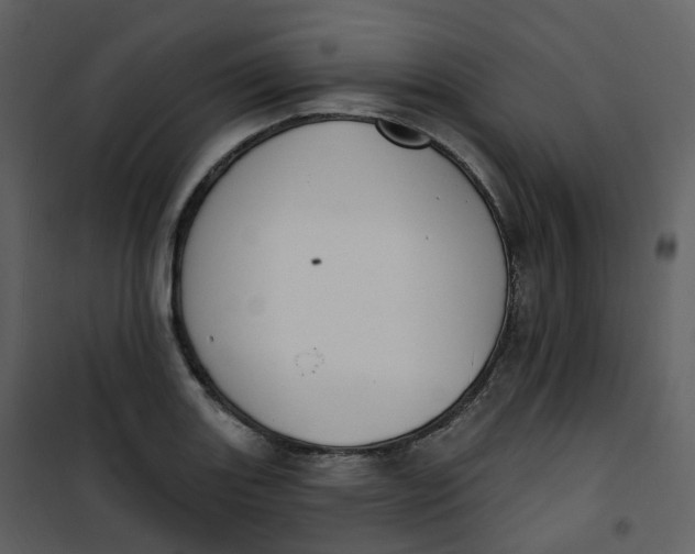 X0000101201131200807181528