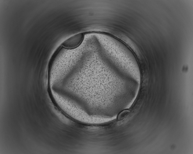 X0000101201132200807181528