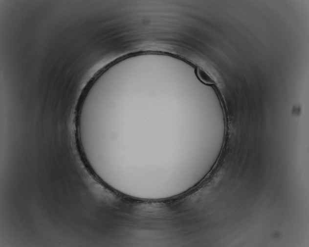 X0000101201133200807181528