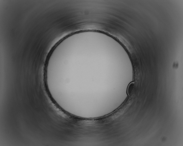 X0000101201134200807181528