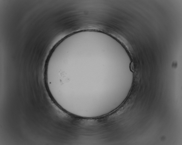 X0000101201135200807181528