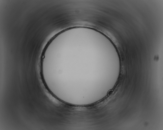 X0000101201136200807181528