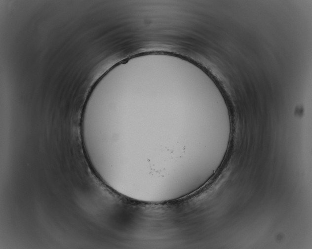 X0000101201137200807181528