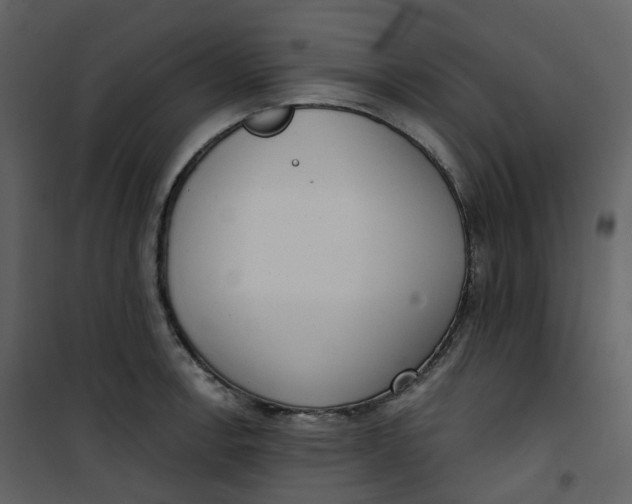 X0000101201138200807181528