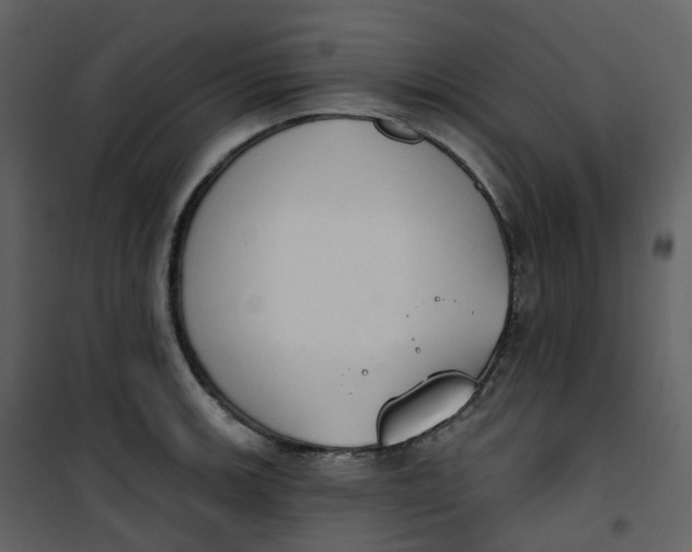 X0000101201139200807181528