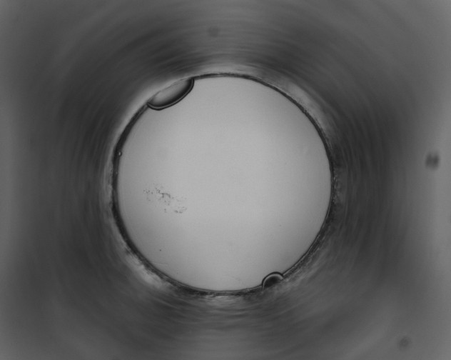 X0000101201140200807181528