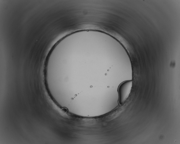 X0000101201142200807181528