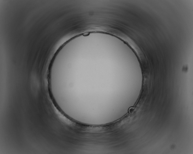 X0000101201143200807181528