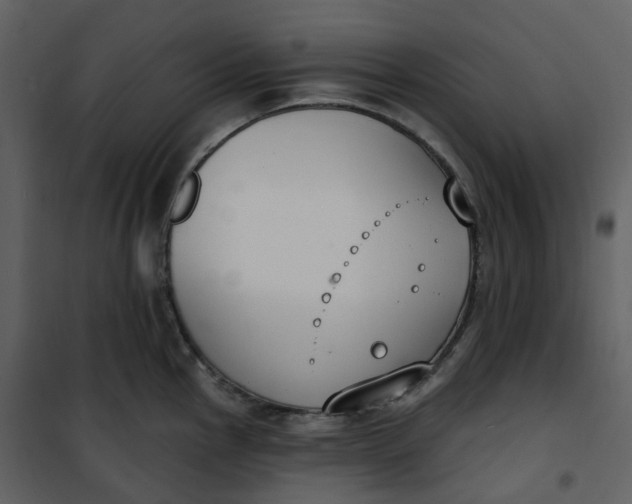 X0000101201145200807181528